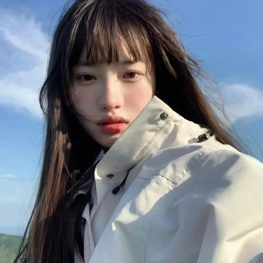 汪喵物语